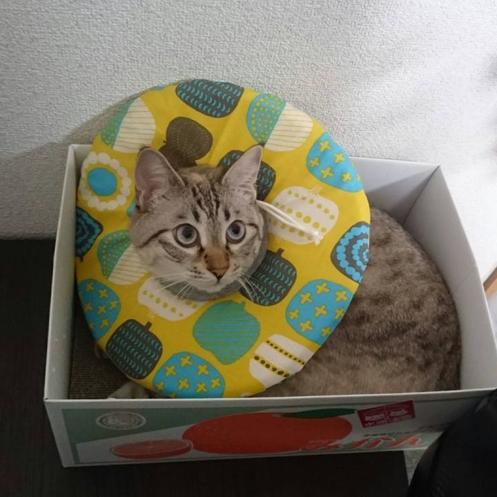 5b9a9130 41b8 4145 a135 8800f9c90ae7