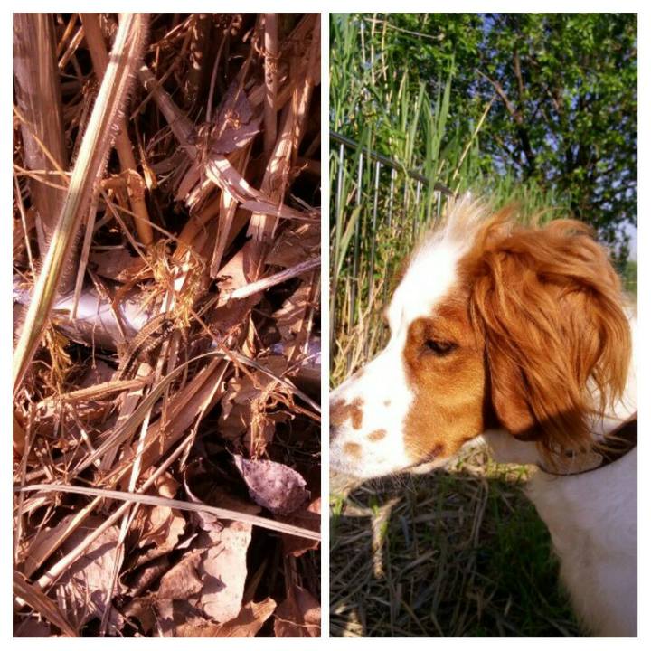 5b9aea61 aadf 43d0 956a d62fc1d476aa