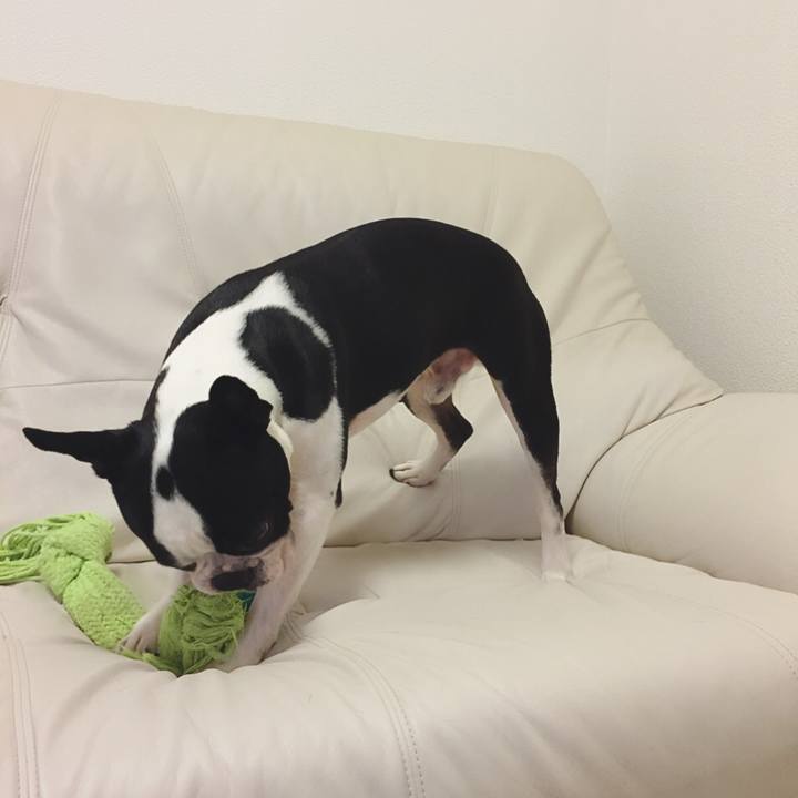 5b9b2305 c6de 46b2 9185 e7b11b966c8a