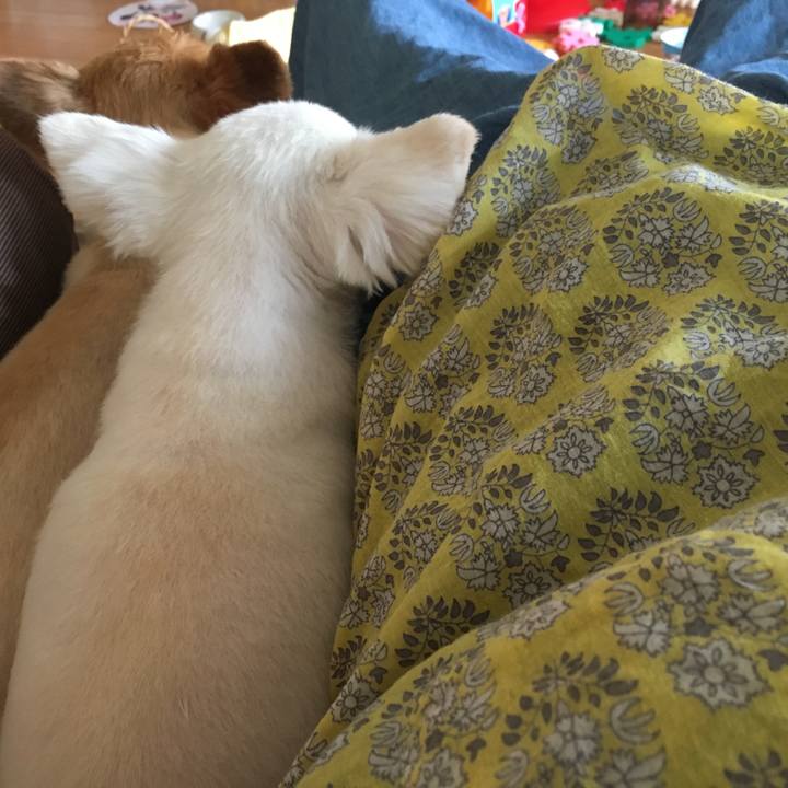 5b9bb0b2 99d6 4251 9edb c600d3ccc60f