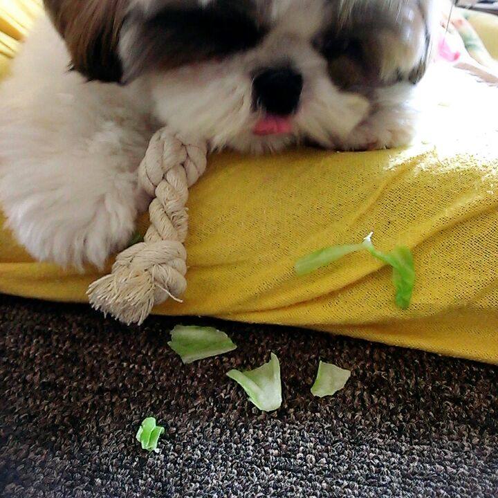 5b9bbd04 5a84 4bdd af6a 8e01acb7b216