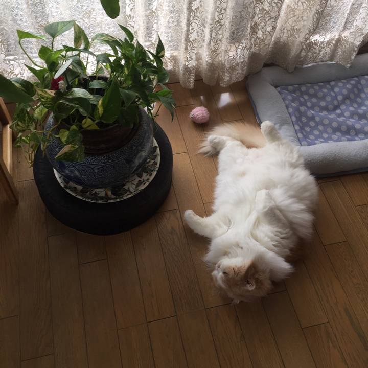 5b9c020a 957c 4bb1 b5a1 3e21ace31b69