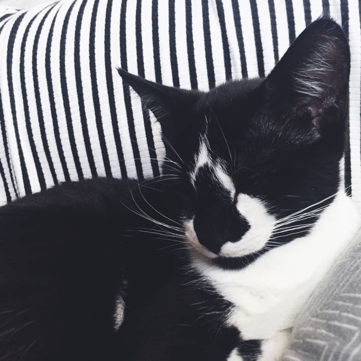 5b9d15bc b7ef 479b 9c62 1d082e585a94