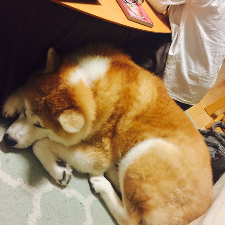 5b9e03f7 6590 4f3d 8cc0 5c1afc450dfd