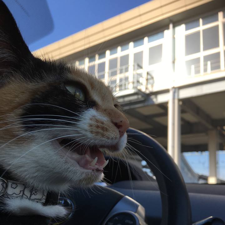 5b9edbd1 4e50 43c1 9ab4 f8657848732e