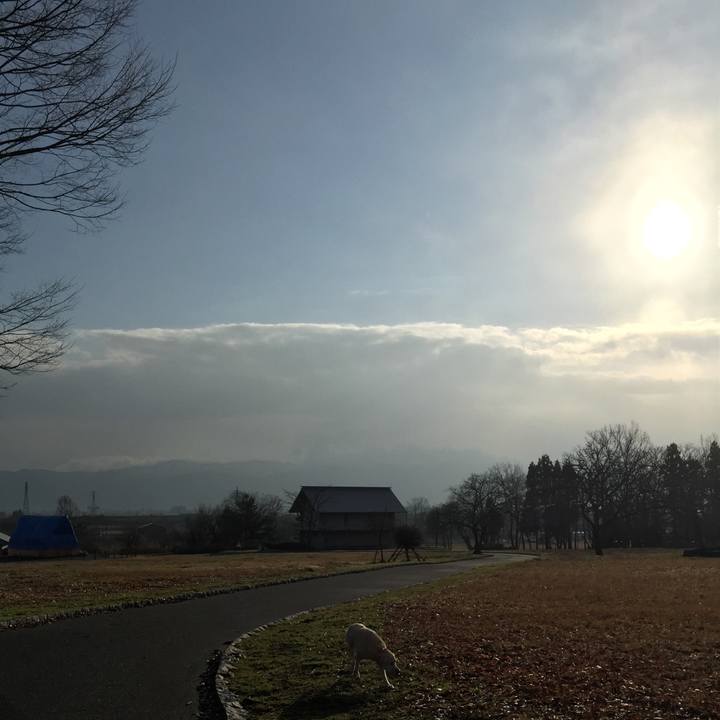 5b9fe340 1874 4ea6 a15d 3ebf7f53b8ee