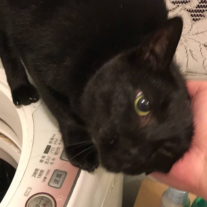 5b9fe7aa 2b28 4888 a4b1 971ec48303cb