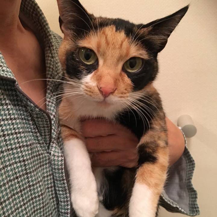 5ba065af 0ac7 4ac4 8ed0 24ae84967bc9