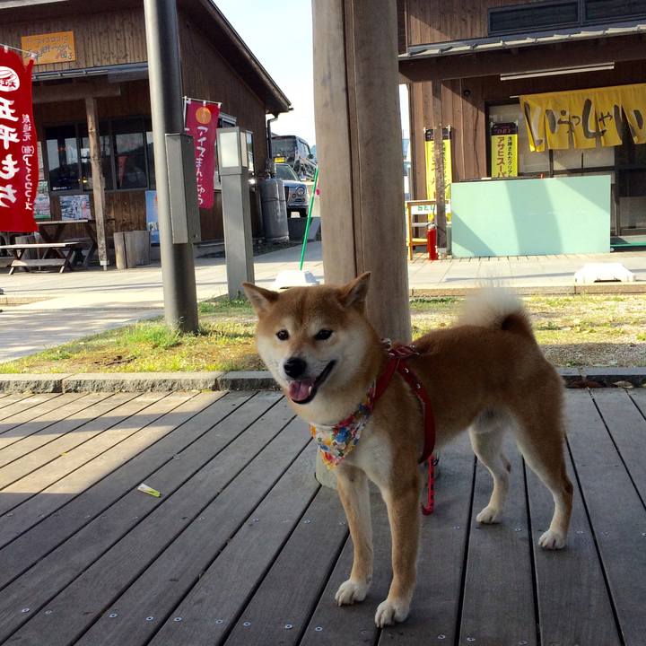 5ba079d2 ccba 4012 b8d0 b3732e3441e8