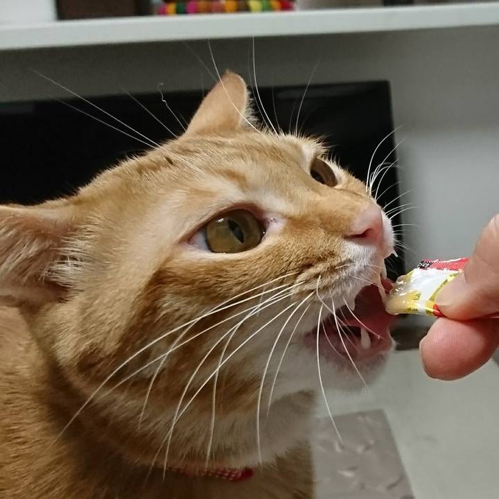 5ba0aec6 8072 4995 ac49 1276d9dac3b8