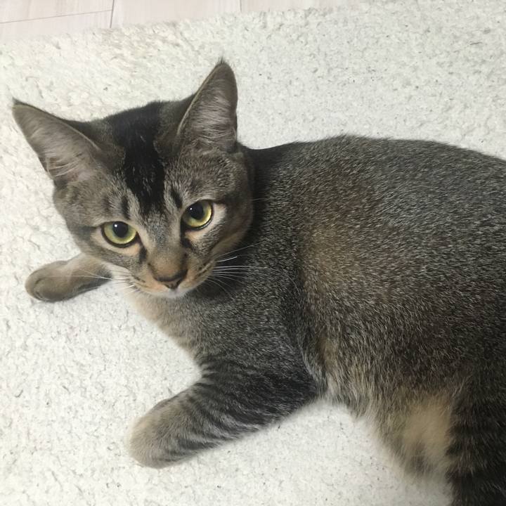 5ba0b7f9 7e9d 47bf 90ad 6969cb7a5f9d