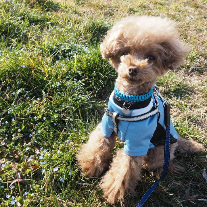 5ba149c2 9f46 4ef5 ba13 b3c6b92babc6