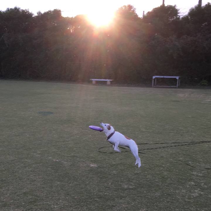 5ba187e0 d02f 4038 beb7 74341dd7b5d1