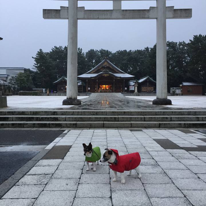 5ba19022 f924 413b a63e 75837a3653d8