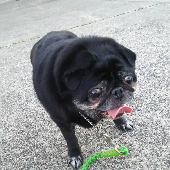 5ba23518 d113 4601 ab5f 605af1aa71fa