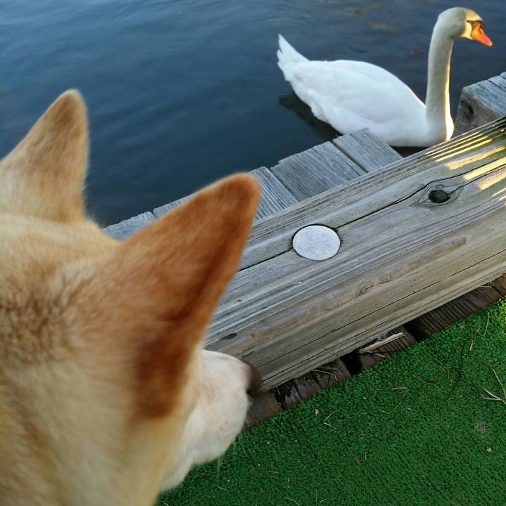 5ba2ca8b 2e56 430a a5b4 c50ee10ef603