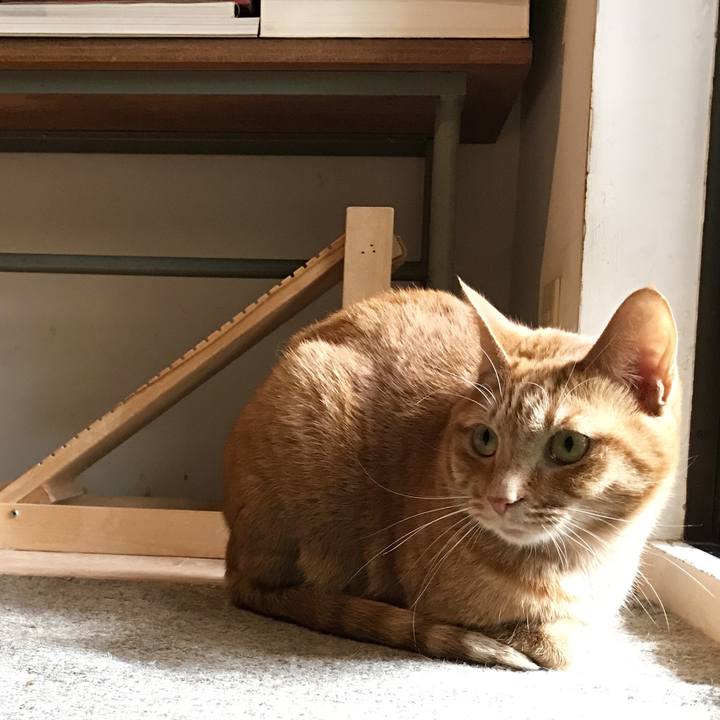 5ba2e1ca f21c 4802 9593 86ea6ac2fe7e