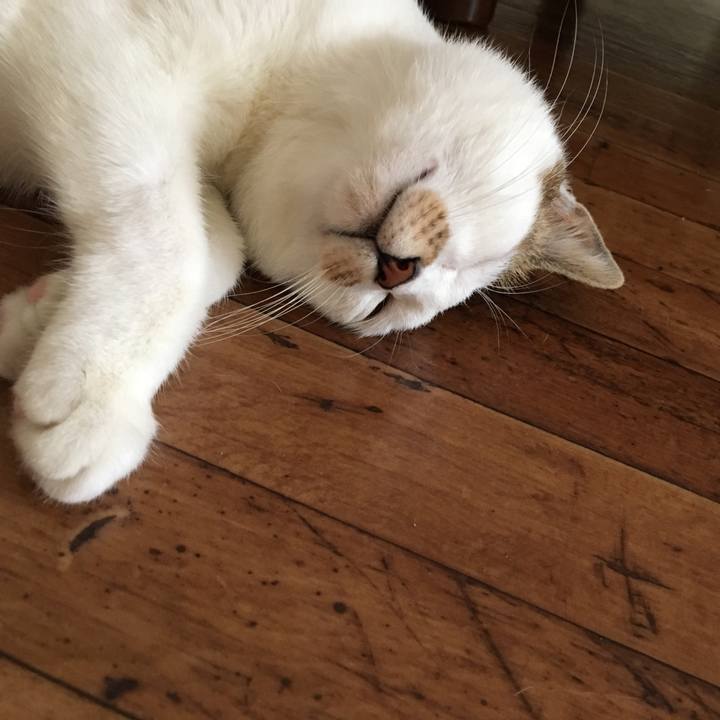 5ba33e91 6578 477e 8cbb 41d7f19e20a6