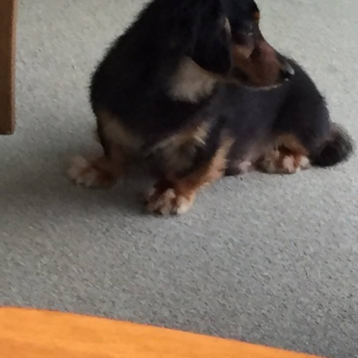 5ba38275 9c98 4f00 acb3 ff52025b5bd4