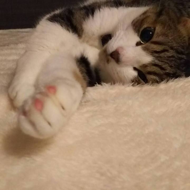 5ba41c6b 353f 41e5 b7c2 fdb8030fd72e