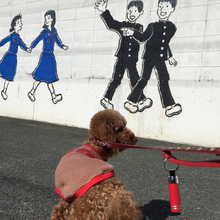 5ba42f3e 9596 4331 8c53 9d969560d586