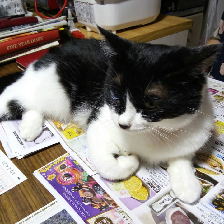 5ba53357 070a 4972 9cd6 dbfaa9f068e5