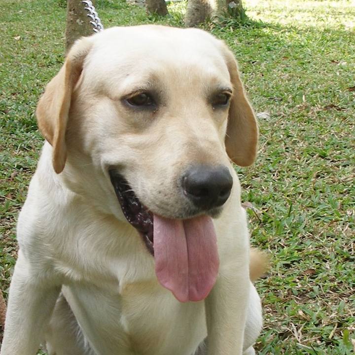 5ba54822 7830 4f4a 8b76 b1b25eeded5d