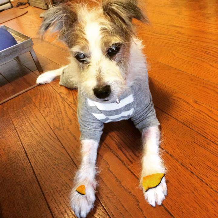 5ba589a1 8c02 4929 88b4 fd8dde4bad80