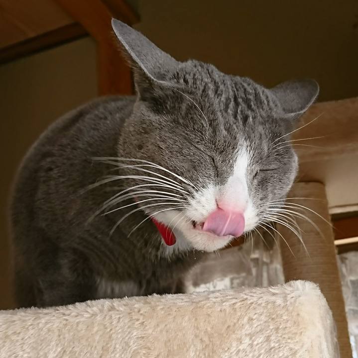 5ba674cb dd15 401c 9b2d 73a887030012