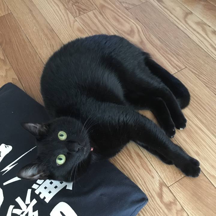 5ba803f3 80b6 423d a9af 93d26b42129b