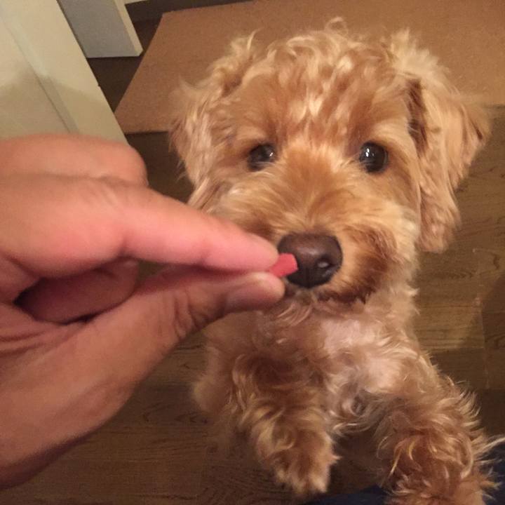 5ba864f7 7c19 46d5 b53d 7293631ed3d6