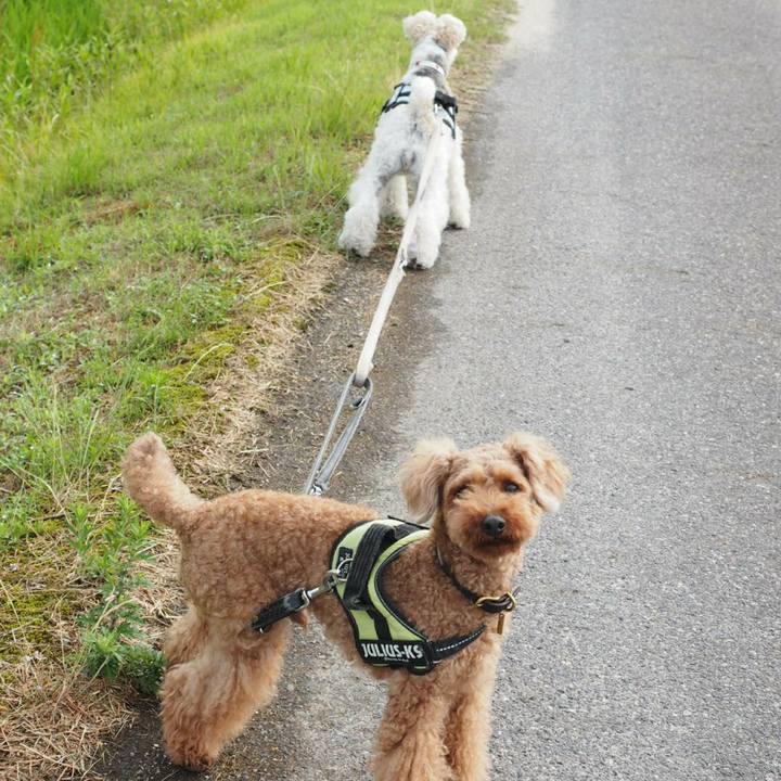 5ba878e5 18a2 4193 b677 521c3aa1437d