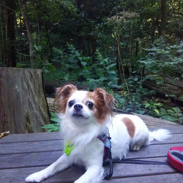 5ba88bee a061 427f b737 d16ca24c9184