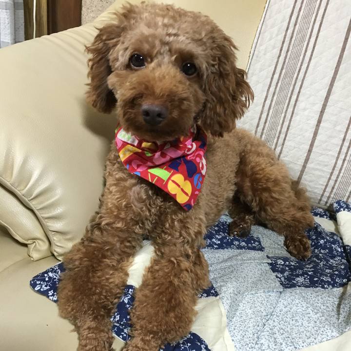 5ba92c51 30d7 4dee b58f e3d0e7316dd7