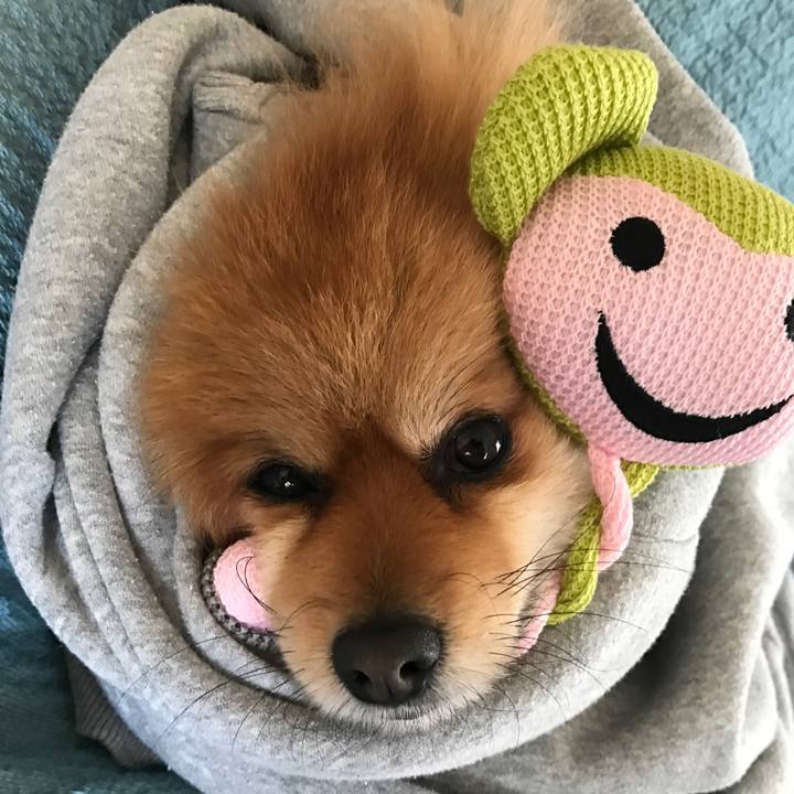 5ba94bb3 0558 4115 b818 9ffc0e1923d8