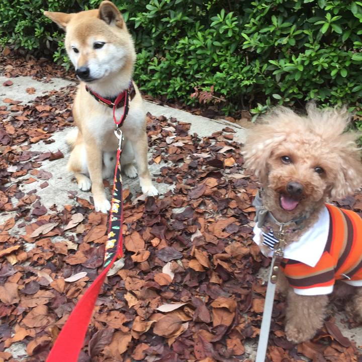 5ba9544e b749 4dc8 aa6e 378238ff2277