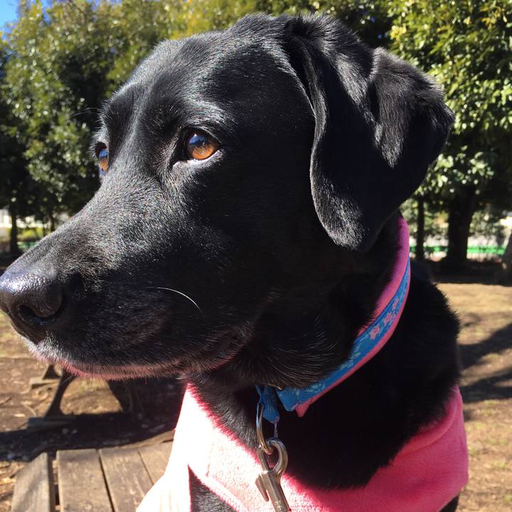 5ba95bf7 a0e9 4407 b810 570910e4f5b6