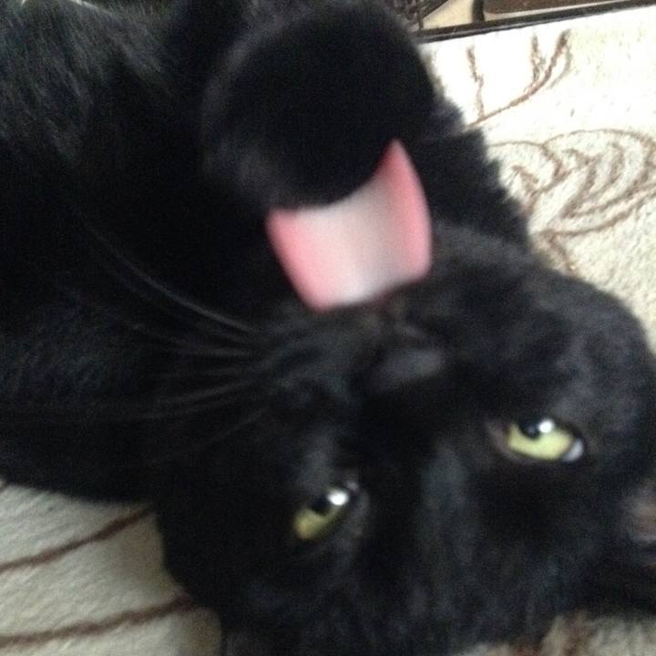 5ba95e8e 890a 4e69 97bf 06b2de47bfff