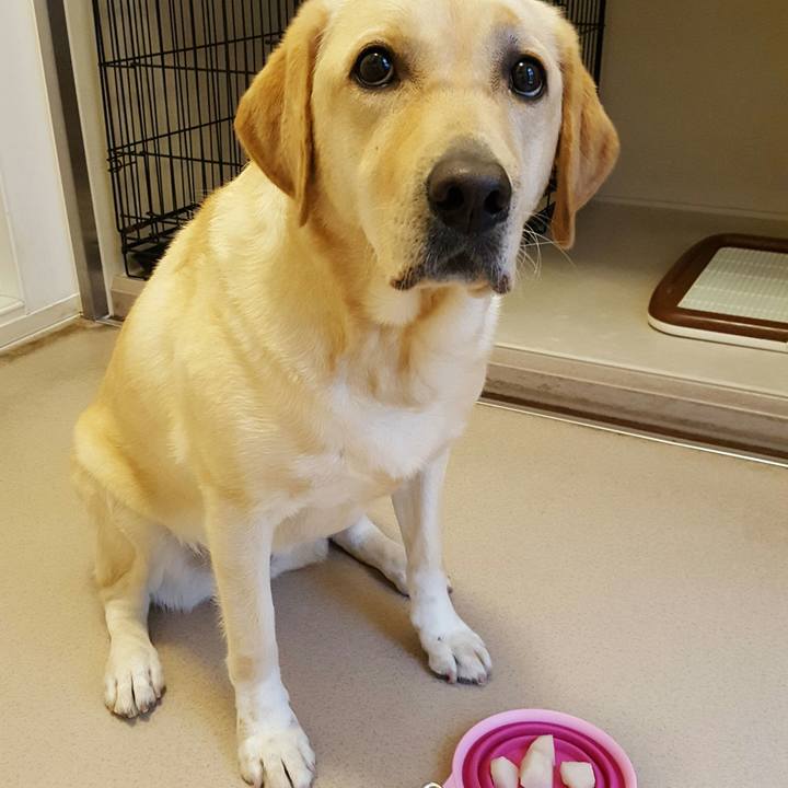 5ba9feae f831 48cb b4c6 f81941449f52