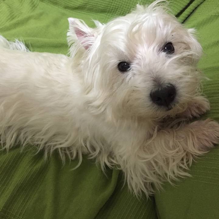 5baa0534 2540 4e94 ba7b 003453dc5f33