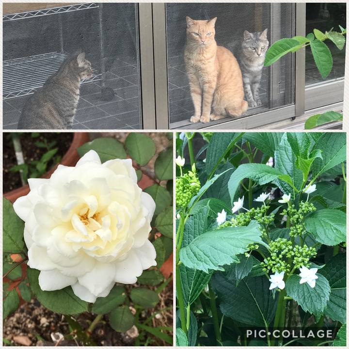 5baa9425 d160 47e4 bb35 795a2110e2d2