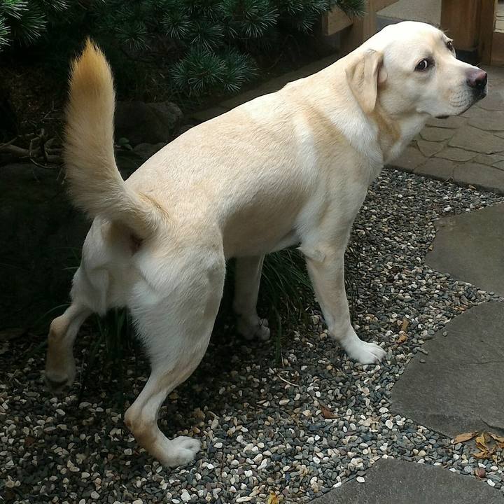 5bab05f6 d6e7 48c5 9297 07b8e3eeaf90