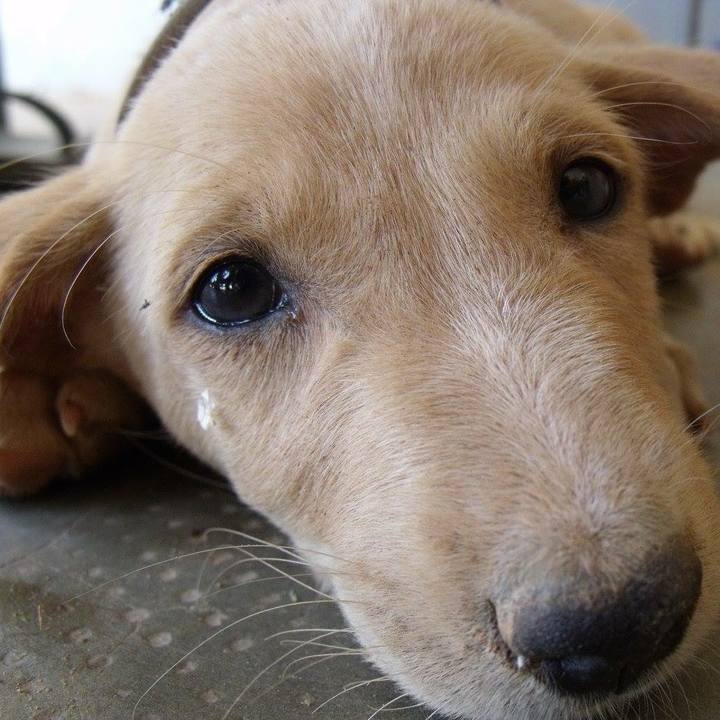 5bac593a 3125 4195 bb96 ef00dbd26249