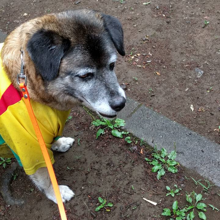 5bac6ffd 2703 43f0 adad f7f292f241c7