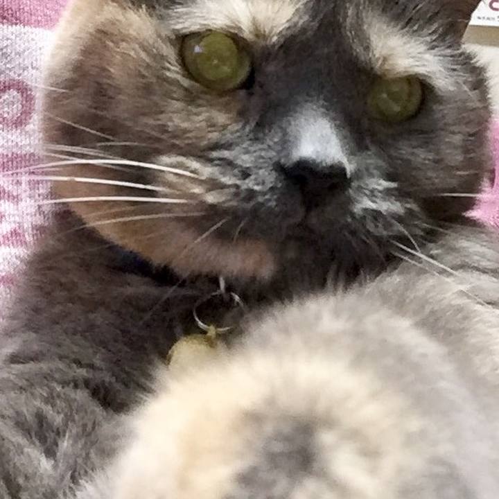 5bac9ce5 3201 4dfc 9746 771a5833d801