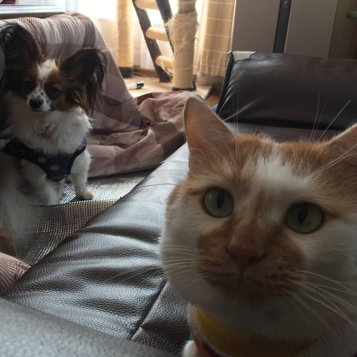 5baca268 b0ac 4b6e ab5b f55fb5579ccd