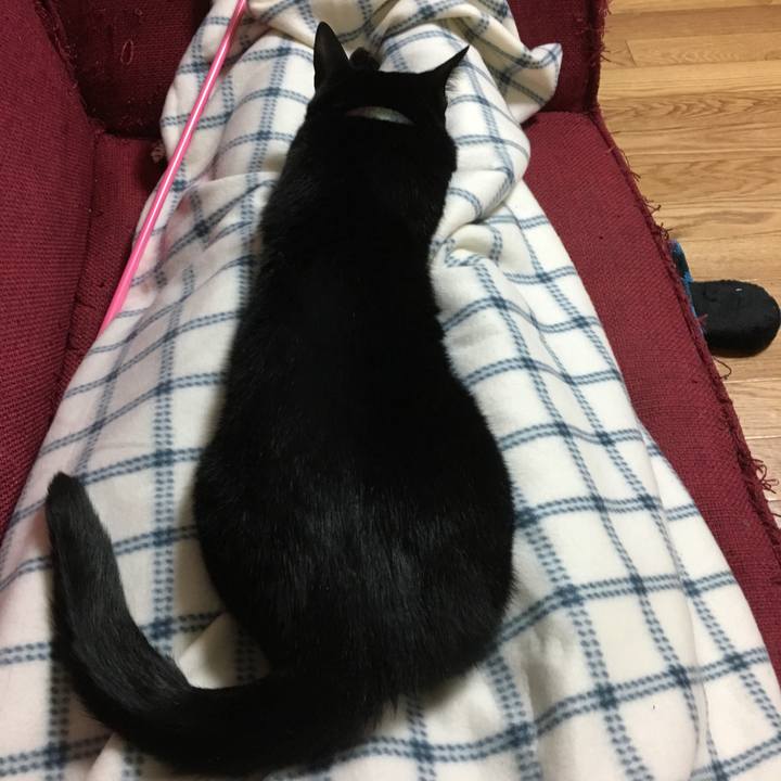 5bacfb5a 4232 4b9d 9d0d fc62f71bb597