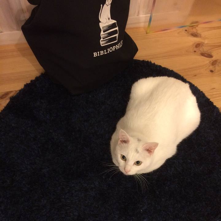 5bad9df7 8dea 4ae5 8168 84d018832ec0