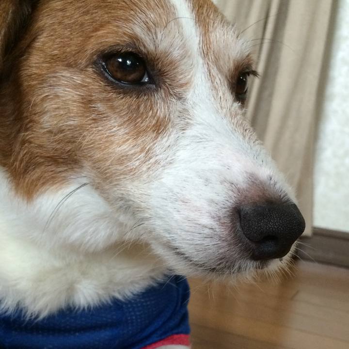 5badc209 5648 4ab1 a1ac c14de987694c