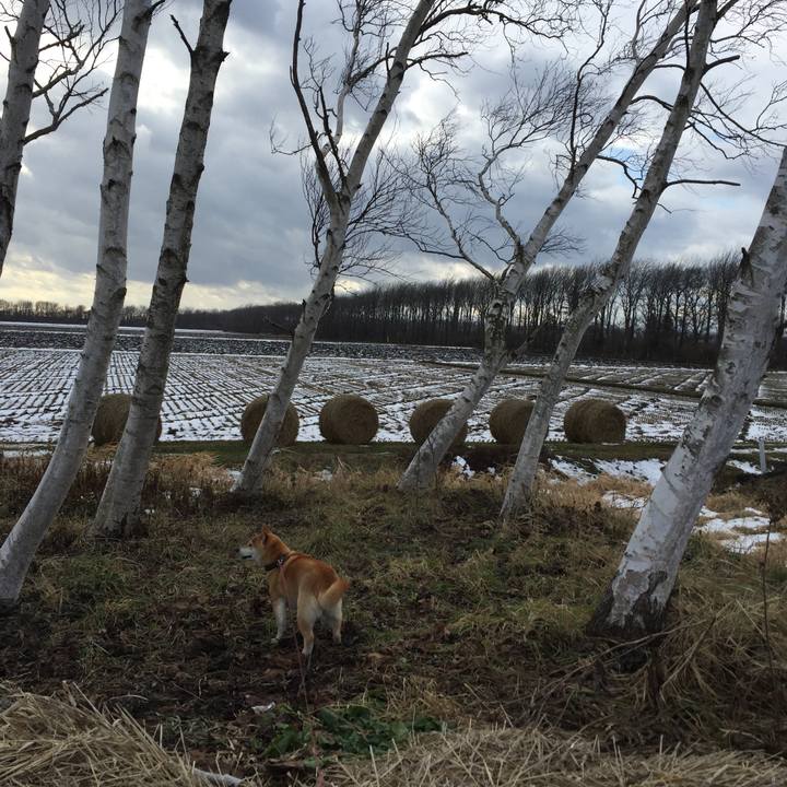 5bae3baf 52f5 44a4 9d42 3fa5195d29ff